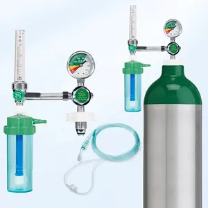 Hospital Buoy Type Oxygen Inhaler Bull Nose Medical Oxygen Pressure Regulator Customized Inlet Connection With Humidifier Bottle