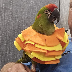 ปลอกคอป้องกันการกัดสำหรับนกแก้ว ปลอกคอทรงกรวยสำหรับนกแก้ว ปลอกคอป้องกันสำหรับนกแก้ว ปลอกคอป้องกันการกัดแบบเต็มตัว - Product Image 5