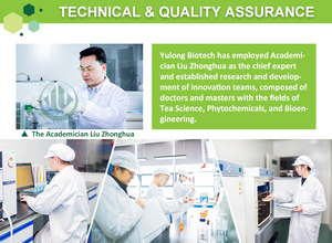 Polvo de té instantáneo verde Matcha de grado M3 a granel adelgazante té verde Matcha en polvo certificado Halal envasado al vacío 5KG envasado - Product Image 6