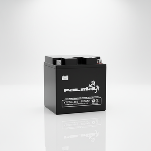 <span class=keywords><strong>Batterie</strong></span> de moto au plomb-acide Palma <span class=keywords><strong>YTX30L</strong></span>-<span class=keywords><strong>BS</strong></span> 12V 30Ah avec garantie de 12 mois - Product Image 3