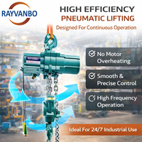 Palans pneumatiques antidéflagrants 1t-20t, chaîne en acier inoxydable, télécommande 220V, protection IP55, nouveau modèle Rayvanbo