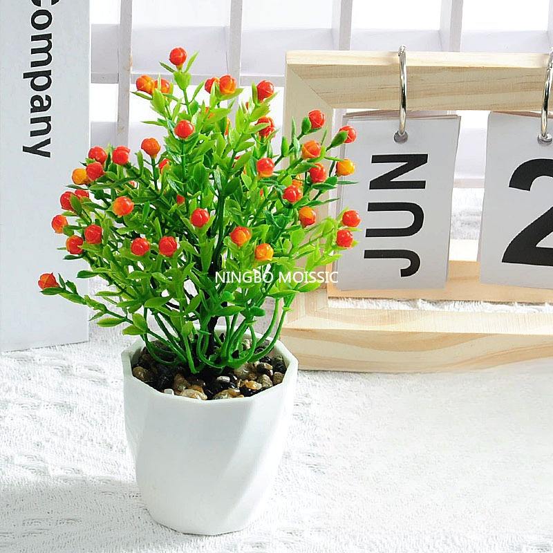 Love beans potted orange