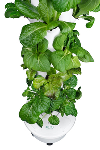 Kit Sistema di Coltivazione Idroponica a Torre con 24 Vasi a Rete (Grado Alimentare Senza Luci) - Accessori per Giardinaggio Domestico - Product Image 6