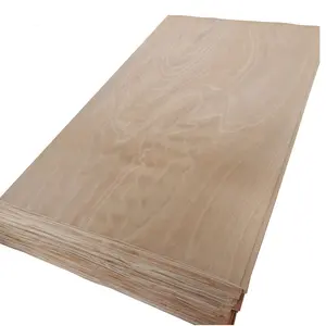 Chapa de madera de haya alemana de corte rotativo de 1200*1200mm para muebles