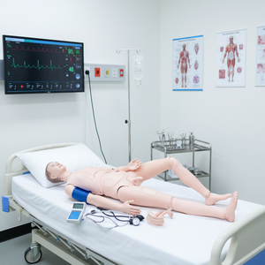 Maniquí de Enfermería, Muñecos de Enseñanza Médica para Entrenamiento Avanzado de Enfermería con Brazo de Entrenamiento de Presión Arterial (masculino/femenino), Modelo Educativo - Product Image 4