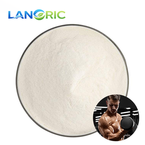 Proteína de Suero de Leche Aislada Instantizada Premium Baja en Grasa, WPI 90%, WPC 80%, Concentrado de Proteína de Suero de Leche en Polvo para Nutrición Deportiva - Product Image 1