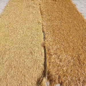 <strong>Thatch</strong> - Product Image 2