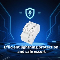 Parafoudre AC T2 personnalisé LeiHao DC SPD 420V 80KA 120KA 2P pour systèmes solaires