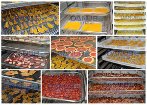 Popular Fruit Tray Drying Machine Banana Drying Room Grape Dehydrated Machine Milk Ball Dryer - Product Image 3
