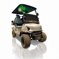 Voiturette de golf électrique pour camping-caravane, 2, 4 ou 6 places, moteur AC 48V 5KW, batterie au lithium, pour usage sur site, avec marchepieds arrière