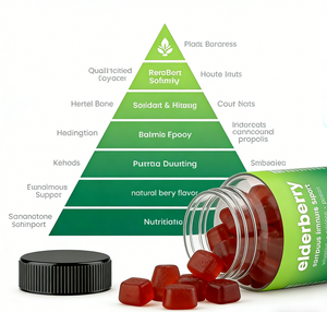 Gummies de sureau noir véganes et biologiques sous marque privée, supplément OEM/ODM pour le soutien immunitaire - Product Image 3