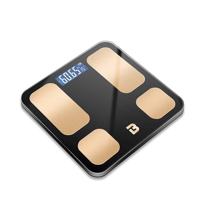 BL 2604 Household Balance Weight Scale