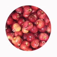 Groothandel export verkoop China fruit IQF diepvries zoete kersen in prijs