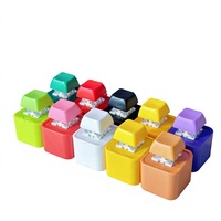 Porte-clés en plastique enregistrable et rechargeable, style mignon, breloque anti-stress fantaisie, cadeau créatif pour fans