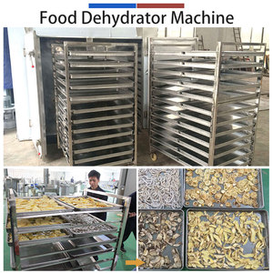 Ligne de traitement automatique de gingembre et curcuma : lavage, pelage, égouttage, découpe, production de poudre, capacité 1-3T/H, machine de traitement du gingembre sur mesure - Product Image 4