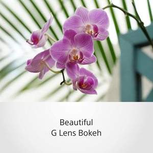 Objectif téléobjectif Sony SELP18105G E 18-105mm F4 OSS noir avec mode AF pour appareils photo Sony PZ 18-105mm F4 G OSS - Product Image 5