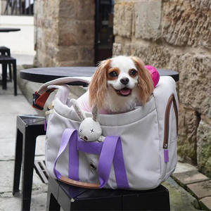 Moda renk engelleme çanta evcil hayvan taşıyıcı çanta Poop dağıtıcı çanta ile küçük evcil hayvan taşıyıcı s köpek kedi taşıyıcı çanta - Product Image 6