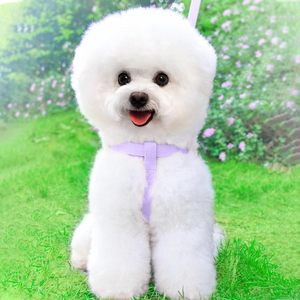 Collier et ensemble pour chien, collier floral doux, harnais de poitrine pour chiot anti-fuite, ensemble de laisse de harnais mignon réglable - Product Image 5