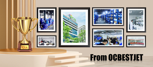 Ocbestjet t8041-t8049 t804a t804b một thời gian Hộp mực chip cho Epson P6000 P7000 P8000 P9000 máy in phiên bản Châu Âu - Product Image 5