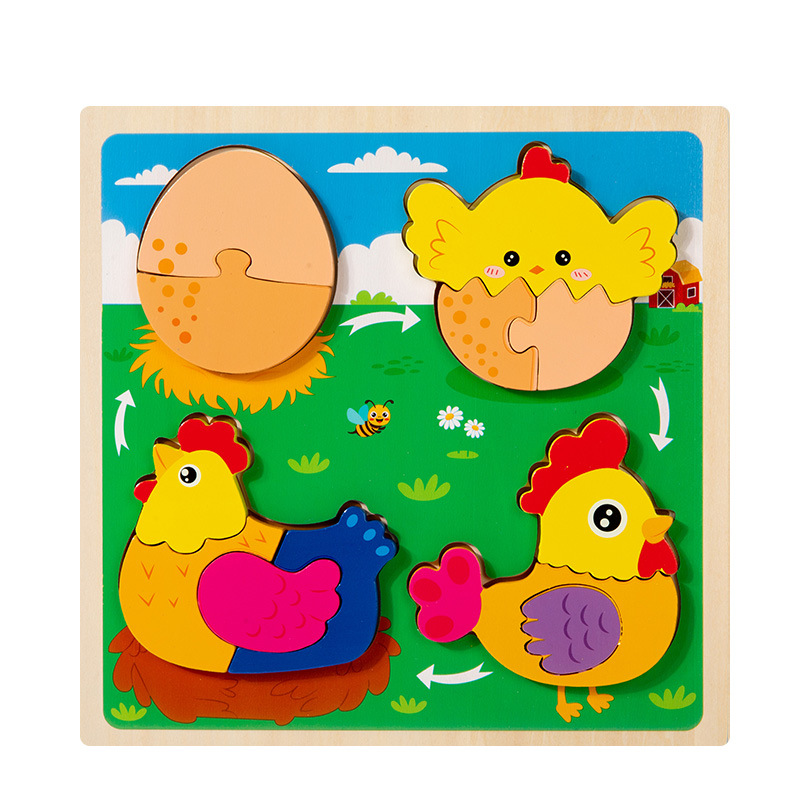 growth cycle puzzle-chicken