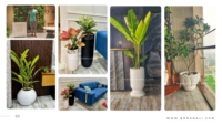 Nouvelle arrivée Pot de fleur en plastique durable multicolore Offre Spéciale pour la maison utilisation de l'agriculture de jardin