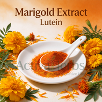 Extrait naturel de fleur de souci ActivaHerbs, luteïne soluble dans l'eau CWS 10% Luteïne