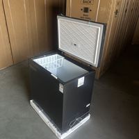 Congélateur horizontal à faible consommation d'énergie de grande capacité 201L, congélateur pour la conservation des aliments à usage domestique et commercial