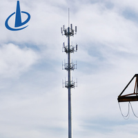 Tour de télécommunication monopode en acier galvanisé à chaud pour la communication de pointe