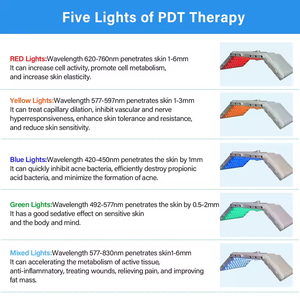 Machine de nettoyage du visage professionnelle pour salon de beauté 11 en 1 avec hydradermabrasion et technologie à l'oxygène - Product Image 5