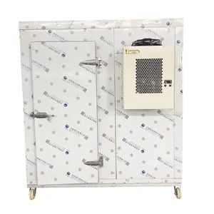 Factory Direct Solar Powered Coldroom Mini Cold Storage Room For Preserving Fresh Vegetables