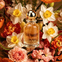 Flacon de parfum en verre à col serti de 30 ml, 50 ml, 100 ml, forme unique avec bouchon doré, argenté ou en bois, flacon de parfum vide avec boîte cadeau