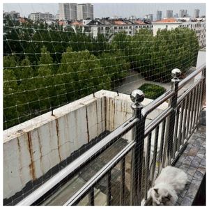 Durable White Nylon Monofilament Transparent <strong>Mesh</strong> Balcony Safety Cat Net With Custom Cutting Processing Service - Product Image 2