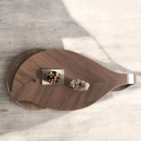 Table Basse Ovale Moderne en Métal, Style Nordique, Luxe Léger, Durable et Écologique, pour Salon
