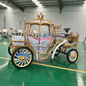 Calèche Citrouille Rétro Européenne Idéale pour Mariages, Fêtes, Visites de Parcs – Prise en Charge de la Personnalisation par l'Usine - Product Image 3