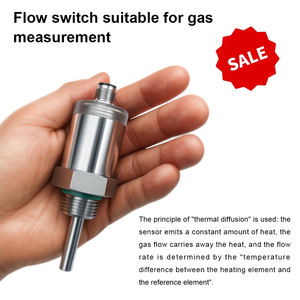 Interruttore di Flusso del Gas Honno ad Alta Precisione con Controllo a Paletta per Applicazioni Industriali e Commerciali, Sensore di Portata in Acciaio Inossidabile - Product Image 6