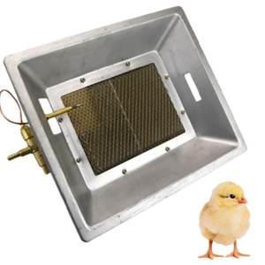 Incubadora y Nacedora Integrada de Alta Eficiencia con Catalizador Infrarrojo para Uso Comercial en Gallineros - Product Image 1