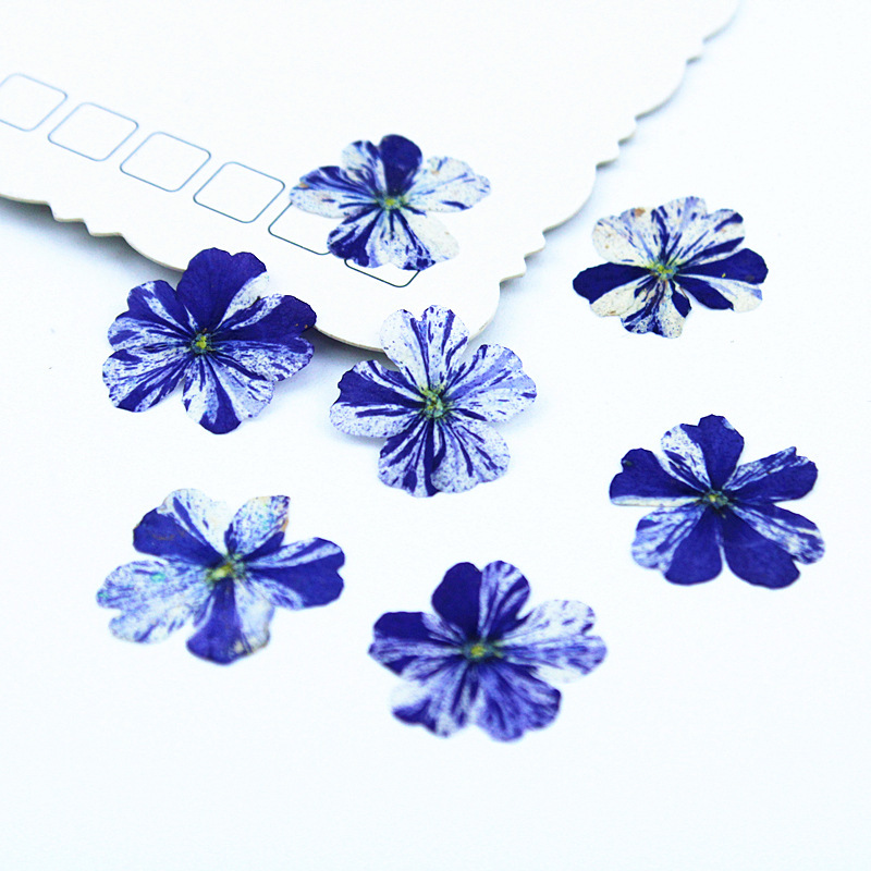 royal blue 100pcs