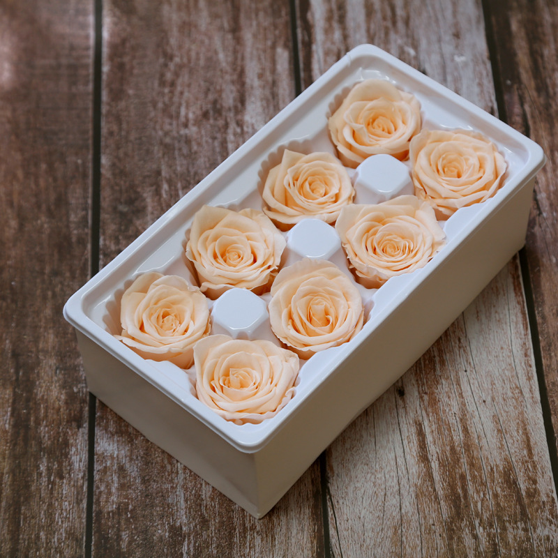 Rose ZL-YSH-08-10