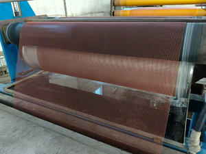 Filet <span class=keywords><strong>de</strong></span> renforcement pour <span class=keywords><strong>gazon</strong></span>, filet anti-érosion - Product Image 4