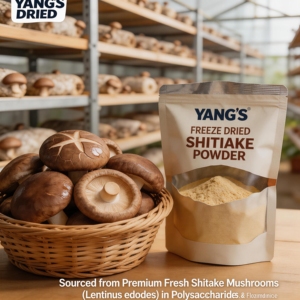 Pó de Cogumelo <span class=keywords><strong>Shiitake</strong></span> Liofilizado 100% Puro Sem Aditivos Grau Alimentar Alta Concentração de Beta-Glucanos Solúvel em Água Alimento Saudável Bebida - Product Image 2