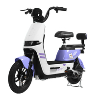 Bicicleta Eléctrica Urbana y de Carretera para Adultos, 350W 500W 48V 15AH 16AH 20AH 24AH, Bicicleta Eléctrica de 2 Plazas