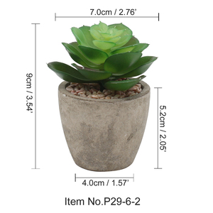 Le migliori <span class=keywords><strong>piante</strong></span> succulente <span class=keywords><strong>artificiali</strong></span> in vaso reali come Mini selezionate per la decorazione del Desktop - Product Image 6