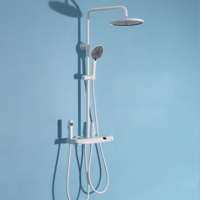 Pommeau de douche de luxe en laiton poli haute pression avec noyau de valve en céramique pour salle de bain, jet de pluie doux, pulvérisation et inverseur de jet, bec de robinet