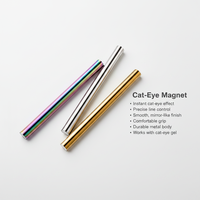 Bâtonnet Magnétique Portable Double Face à Livraison Rapide pour Usage en Salon, Outil de Manucure pour Gel Magnétique Effet Œil de Chat 3D