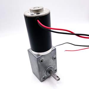 gleichstrommotor hohes drehmoment doppelwellen-getriebe wurmgetriebemotor 12 v - Product Image 3