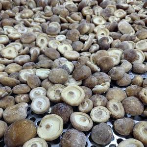 <span class=keywords><strong>2025</strong></span> mùa giải mới cây trồng mới iqf nhà máy trực tiếp Xuất khẩu nhanh chóng đông lạnh nấm Shiitake toàn bộ chất lượng tốt với BRC Halal - Product Image 4