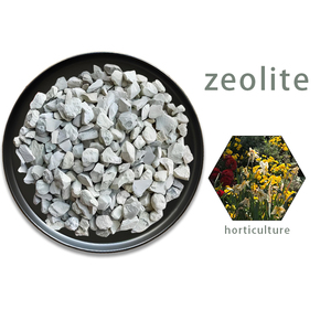 <span class=keywords><strong>Venta</strong></span> caliente al por mayor Ranyu gránulo natural <span class=keywords><strong>zeolita</strong></span> verde agricultura densidad <span class=keywords><strong>a</strong></span> <span class=keywords><strong>granel</strong></span> 1-3Mm 3-5mm 6-9mm para productos <span class=keywords><strong>de</strong></span> jardín - Product Image 4