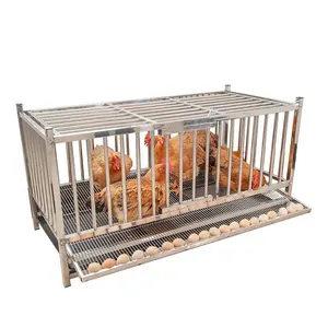 Cages empilables en acier inoxydable pour poules et animaux, poulailler