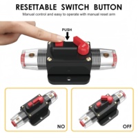 Disjoncteur DC réinitialisable 20-300A 12-48V étanche à réinitialisation manuelle pour autoradio, camping-car, marine, camion