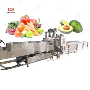 Máquina de linha de secagem de frutas e vegetais com bolhas, transportador de fábrica Gelgoog, máquina industrial de limpeza de frutas e vegetais